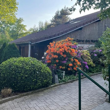 Notre Dame Des Monts Hotel Ban-sur-Meurthe-Clefcy Bagian luar foto