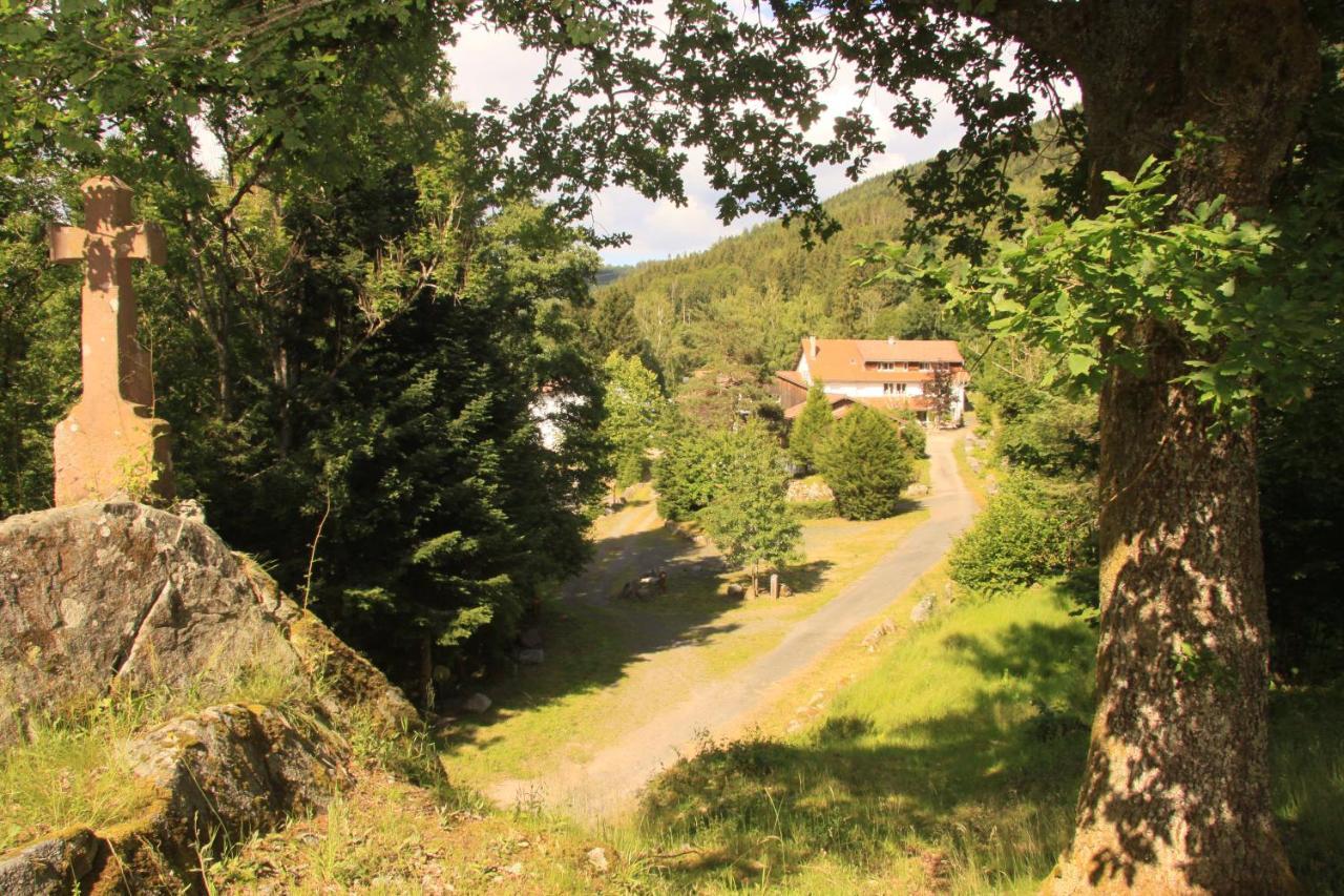 Notre Dame Des Monts Hotel Ban-sur-Meurthe-Clefcy Bagian luar foto