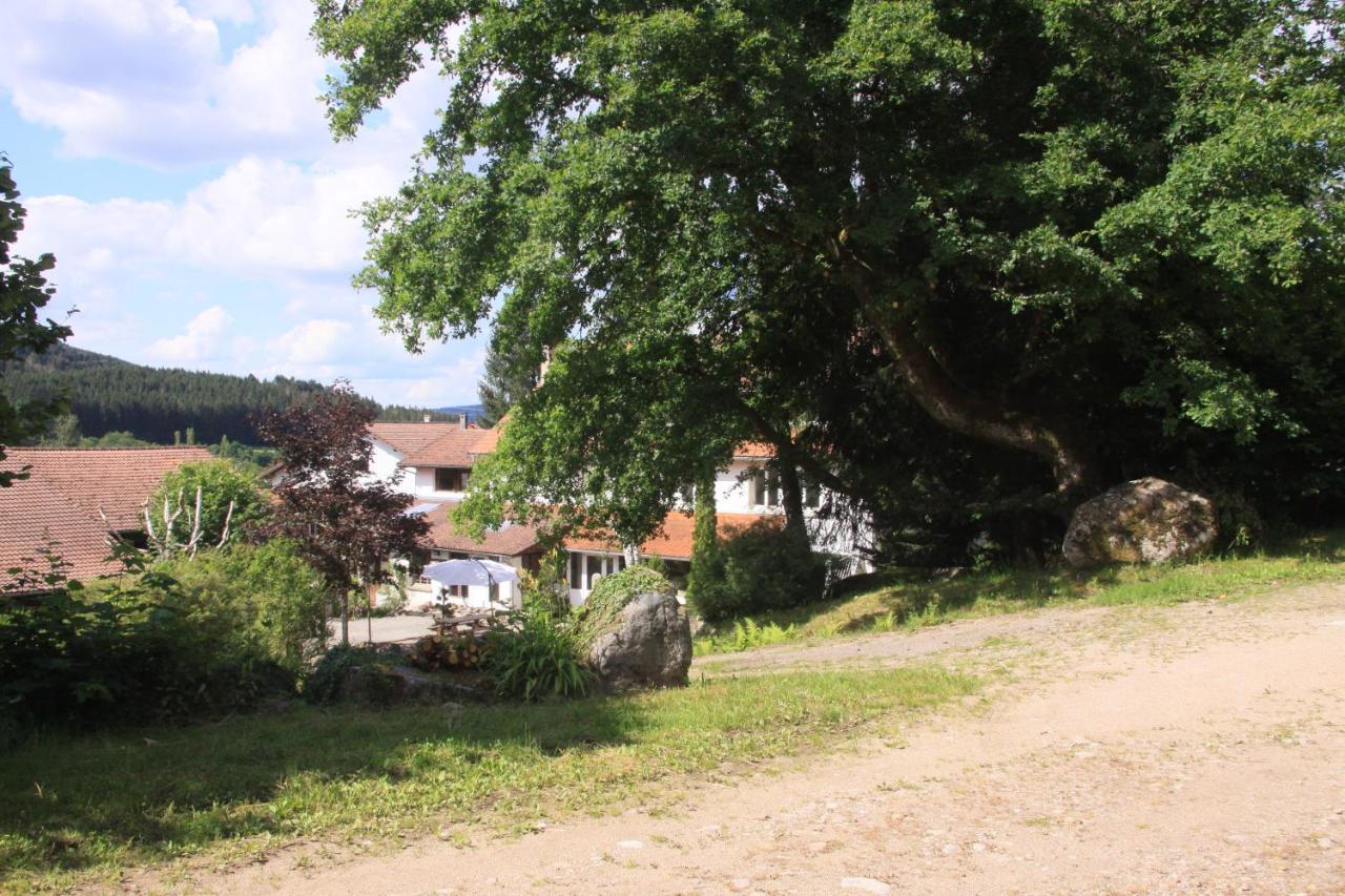 Notre Dame Des Monts Hotel Ban-sur-Meurthe-Clefcy Bagian luar foto