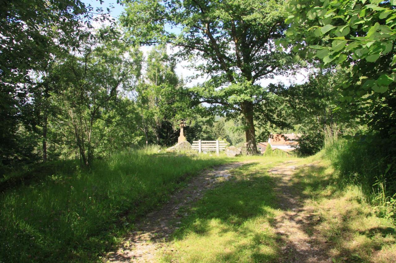Notre Dame Des Monts Hotel Ban-sur-Meurthe-Clefcy Bagian luar foto