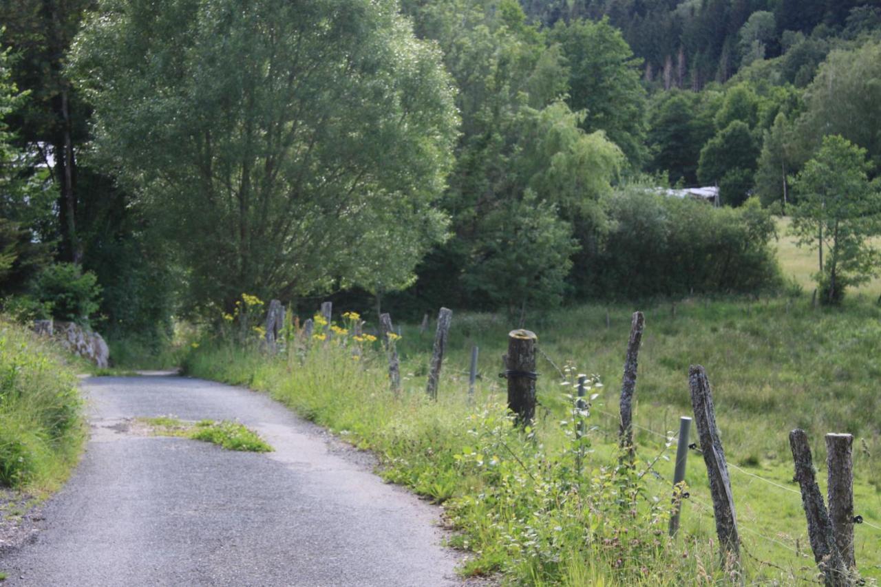 Notre Dame Des Monts Hotel Ban-sur-Meurthe-Clefcy Bagian luar foto