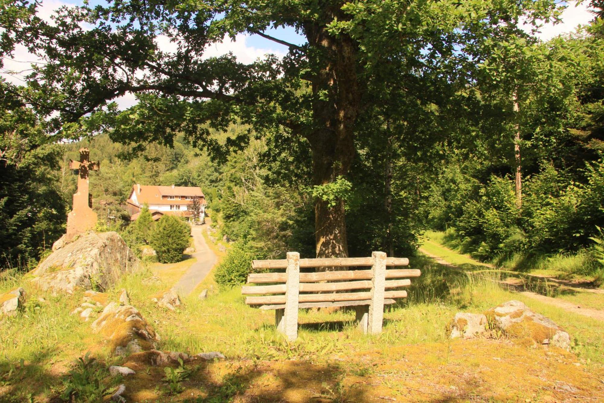 Notre Dame Des Monts Hotel Ban-sur-Meurthe-Clefcy Bagian luar foto